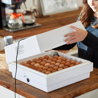 Digital White Egg Incubator with Automatic Turner and Humidity Control