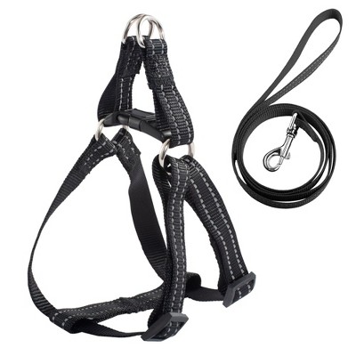 cat harness leash