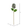 Vickerman 34" Artificial Cone Hydrangea Spray, 2 per bag - 3 of 4