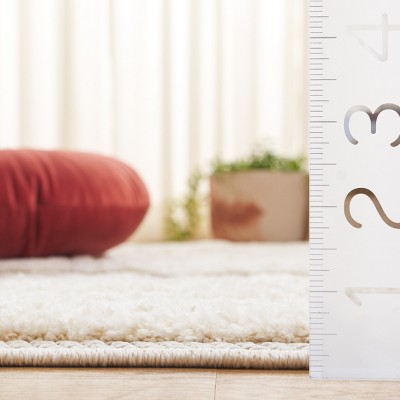 Ivory Hand-Knotted Wool and Synthetic 4' x 6' Area Rug
