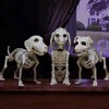 Halloween Dog Skeleton 3 Pack Indoor/Outdoor Decorations-Plastic Animal Bones for Party Table Decor, Haunted Houses- A Trio of Unique Canine Skeletons - 2 of 4