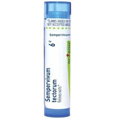 Sempervivum Tectorum 6C by Boiron Homeopathic Single Medicine For First Aid  -  80 Pellet