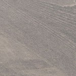 dark brown top/black base