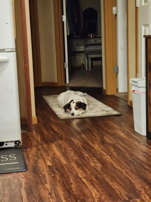 Guest review image 1 of 1, zoom in