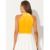 INSPIRE CHIC Women's Halter Neck Velvet Basic Layering Party Sleeveless Crop Top - 4 of 4