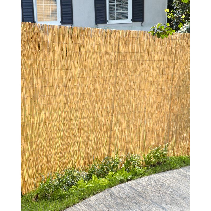 6&#39; x 16&#39; Unpeeled Reed Fence Natural - Gardenpath, 2 of 4