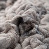 Sapphtopaz 1PC Faux Fur Throw Blanket, All Seasons Comfort Blanket, Faux Feathersoft Blanket, 50x60", Machine Washable - 4 of 4