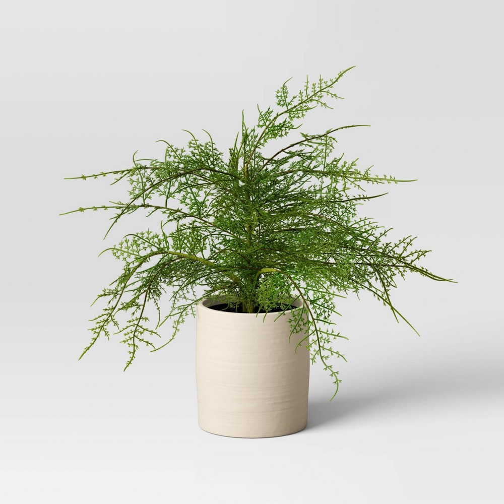 Large Asparagus Artificial Fern Leaf in Pot - Threshold™ Set 2 