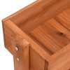 vidaXL Planter Brown Firwood Medium Durable Plant Stand Rectangular - 4 of 4