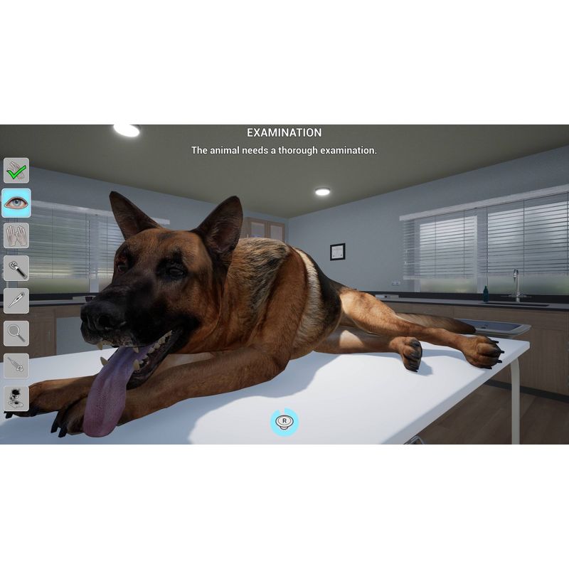 My Life: Pet Vet - Nintendo Switch: Animal Care Simulation Game, 3D World, E Rated, 2 of 12