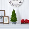 HomeStock  1.5 ft. Artificial Tree in Planter for Indoor/Outdoor - 3 of 3