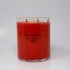 Glass Jar 2-Wick Berry Mandarin Candle - Room Essentials™ - image 2 of 4
