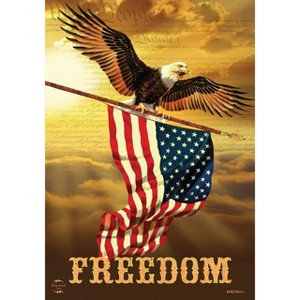 Freedom Patriotic Garden Flag Bald Eagle USA 18" x 12.5" Briarwood Lane - 1 of 4