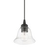Livex Lighting Moreland 1 - Light Pendant in  Black - 3 of 4