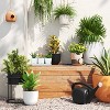 12x6 Hanging Self Watering Planter Pot White - Room Essentials