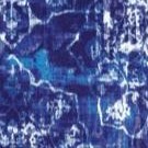 blue medallion print