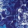 blue medallion print