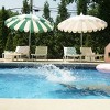MINNIDIP Round Scalloped Market Patio Umbrella - Topiary - 4 of 4