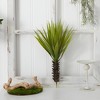 Nearly Natural Spiky Agave Succulent Plant (Set of 2) - 2 of 2