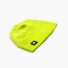 Turtle Fur Adult Chelonia 150 Fleece Beanie - 2 of 4