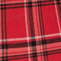 vivid red plaid