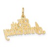 Black Bow Jewelry 14k Yellow Gold 25th Anniversary Charm or Pendant, 24mm - 3 of 4