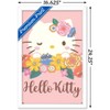 Trends International Hello Kitty and Friends: 24 Flowers - Hello Kitty Framed Wall Poster Prints - 3 of 4