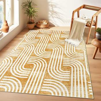 Ultra Soft Area Rug 2*3ft, Non Slip, Stain Resistant Living Room Rug, Washable Area Rugs