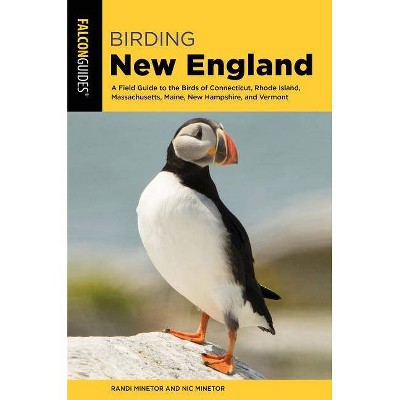 Birding New England - by  Randi Minetor & Nic Minetor (Paperback)