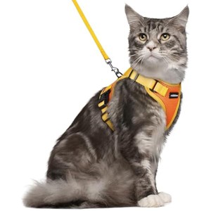 rabbitgoo Cat Harness and Leash Set, Escape , Easy Control Breathable Kitten Jacket with Reflective Strips, Orange & Yellow, M - 1 of 1