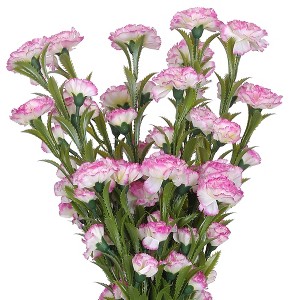 REGALWOVEN Simulation Artificial Home Decoration Carnation Flowers 32.6" 6 Pcs - 1 of 4