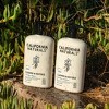 California Naturals Classic Coconut Shampoo - 16.5 fl oz - 2 of 4