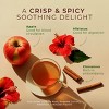 Cinnamon Apple Tea Gift Set (16 ct) Gya Tea Co - Decaf Apple Cider | for Soothing & Digestive Health | pod - 4 of 4