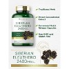 Carlyle Siberian Eleuthero 2400mg | 300 Capsules - 3 of 4