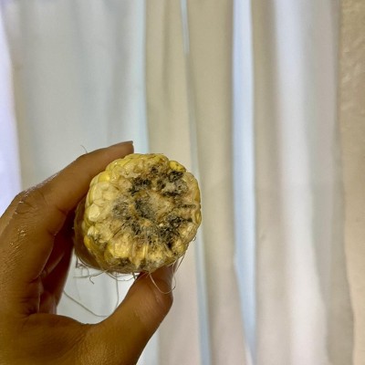 Guest review image 1 of 3, zoom in