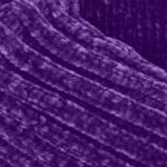 radiant purple