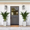 Tall Planter Set of 2 Large Rattan Flower Pot with 2 Trays & a Water Level Monitor - 3 of 4