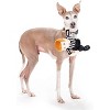 Midlee Pull Apart Referee Dog Toy : Target