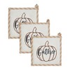 Bountifall Pumpkin Gather Trivet Set of 3 8x8 - 2 of 4
