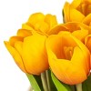 10" Artificial Orange Tulips in White Basket - National Tree Company - 3 of 3