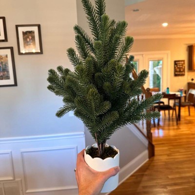 Guest review image 2 of 3, zoom in