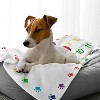 Sweet Jojo Designs Dog Birthday Milestone Blanket Pawty Party Red Yellow and Green - 2 of 4