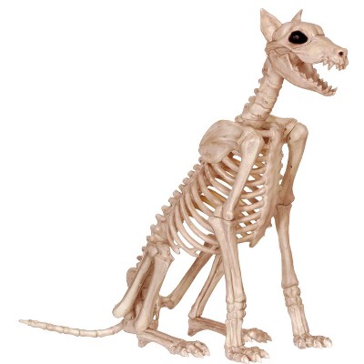 Halloween Skeleton Doberman