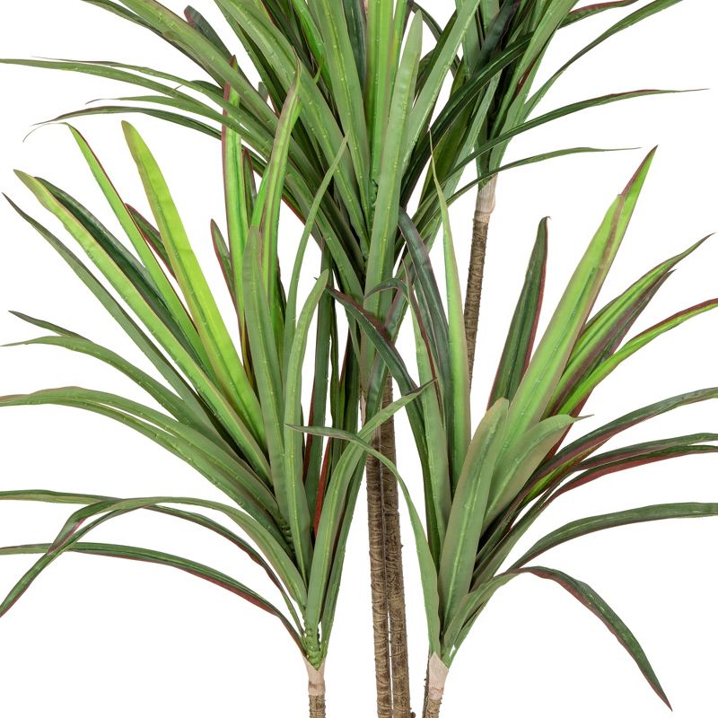 Northlight Real Touch™️ Green Artificial Dracaena Marginata Plant in Black Pot - 5.5', 4 of 8