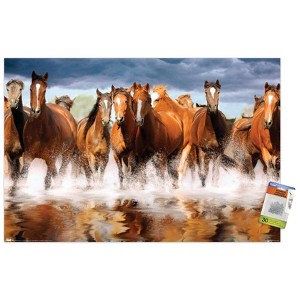 Trends International Horses Unframed Wall Poster Prints - 1 of 4