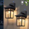 C Cattleya 2 Pack Dusk to Dawn Outdoor Wall Sconce Lights with Seeded Glass - 2 of 4