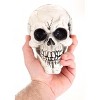 HalloweenCostumes.com  Set of 3 Large Skulls, Black/Brown - 3 of 4