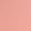 Salmon Pink