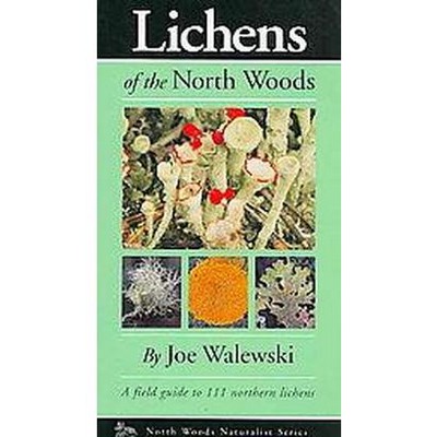 Lichens of the North Woods - (Naturalist) by  Joe Walewski (Paperback)