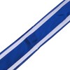 Unique Bargains Metallic-Edged Voile Pull Ribbon PP 30.31"x1.97" 10 Pcs - 4 of 4